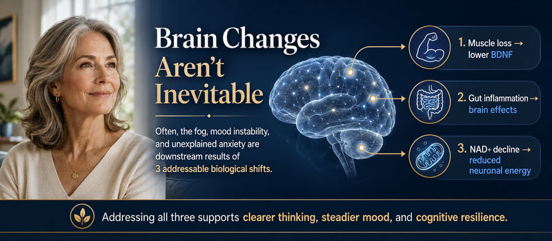 The Brain Changes You Have Been Told Are Inevitable Are Actually the Downstream Result of Three Specific and Addressable Biological Shifts, and Adults Who Age With Exceptional Cognitive Clarity Have Almost Always Addressed All Three