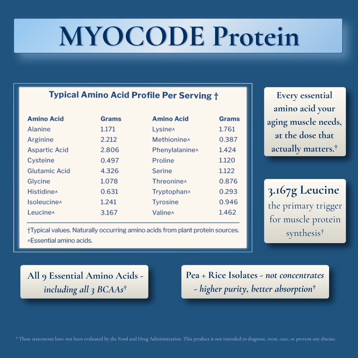 MYOCODE Protein - The Builder