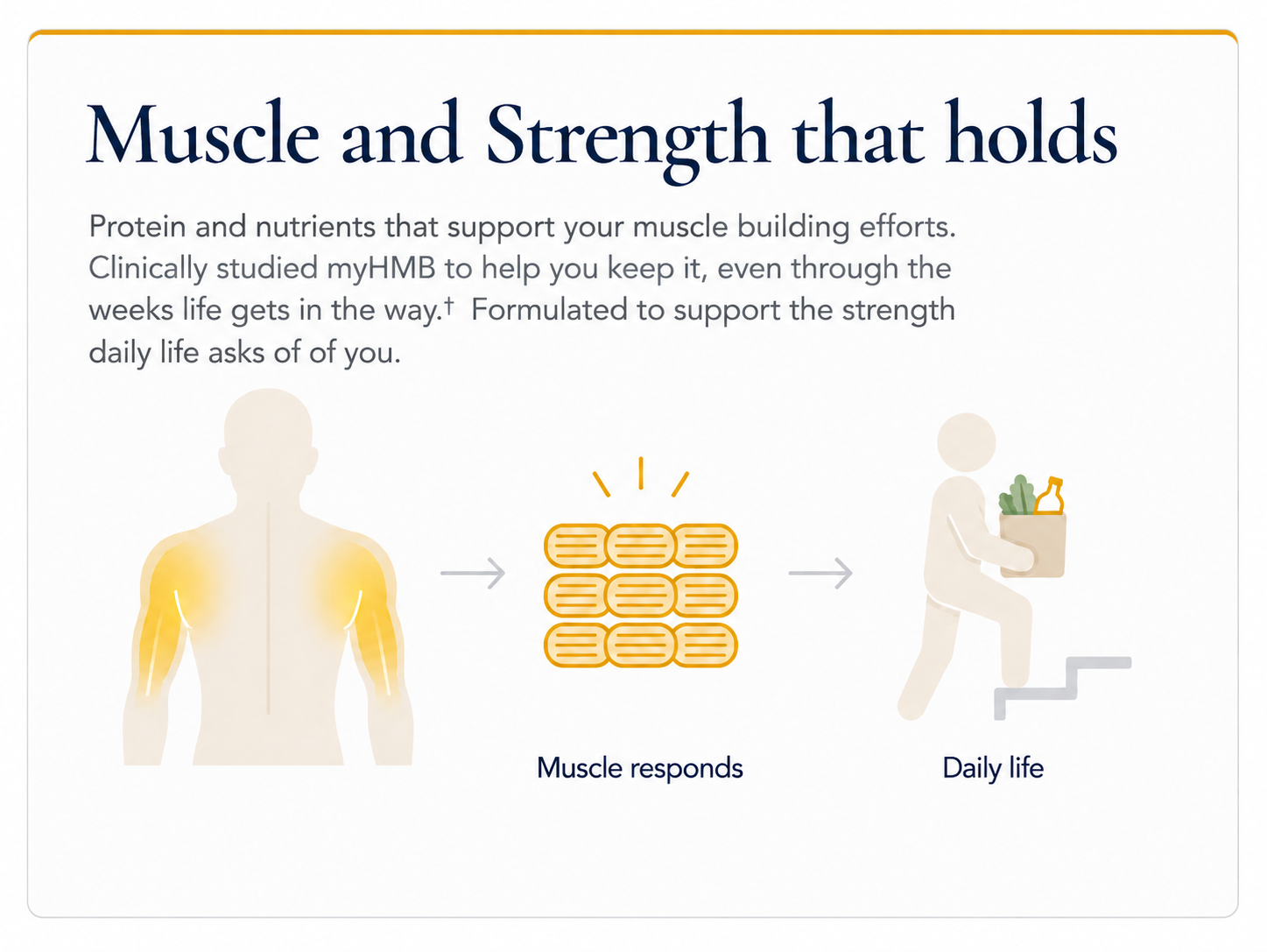 Muscle and strength that holds. Clinically studied myHMB helps you keep lean muscle.
