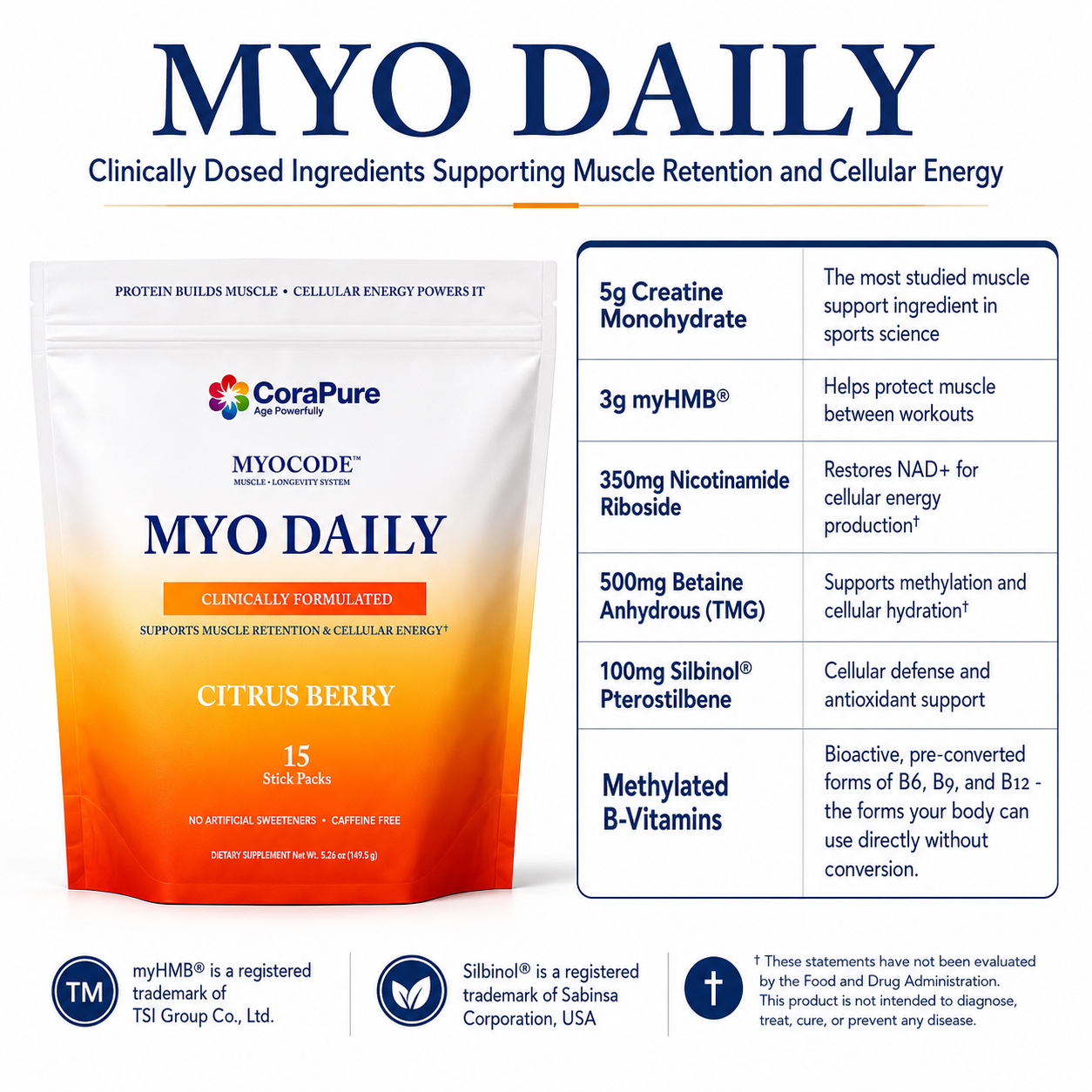 MYO Daily: clinically dosed ingredients supporting muscle retention and cellular energy